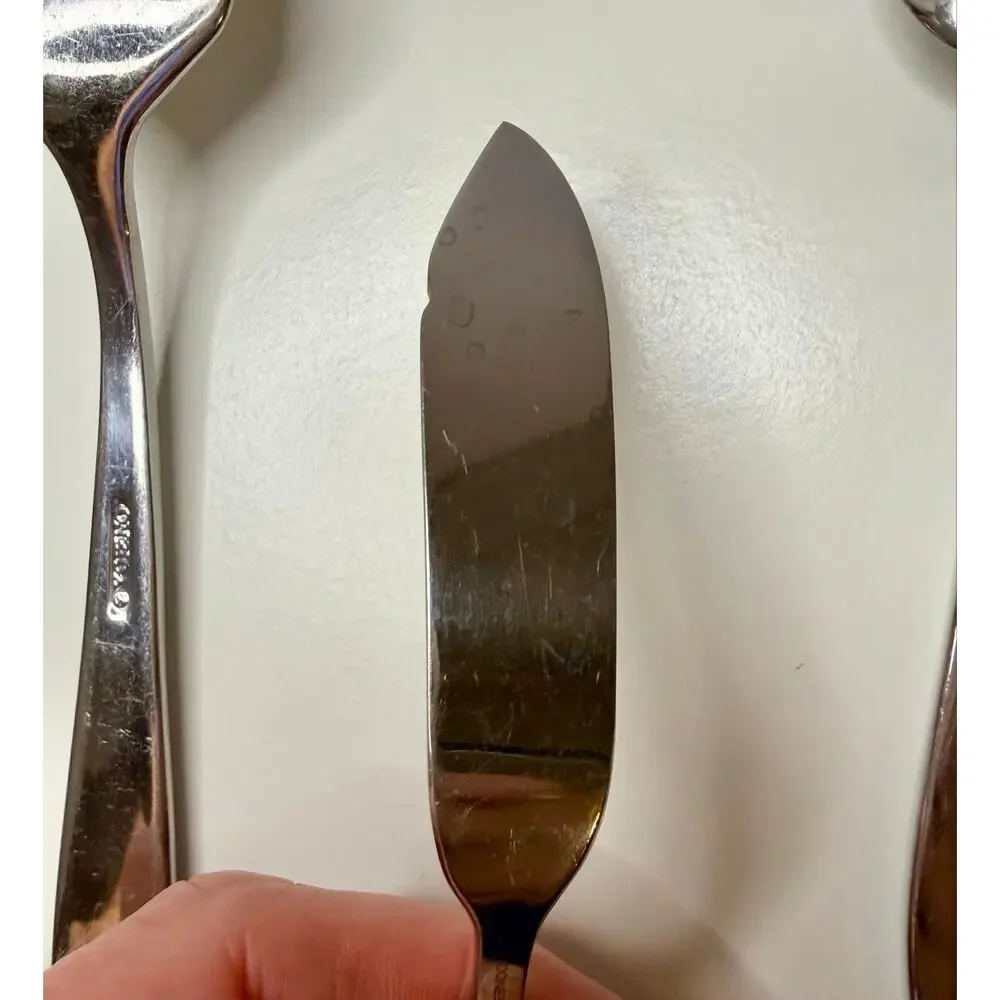 Oneida mooncrest stainless